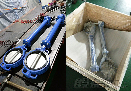 般德加長(zhǎng)桿渦輪對(duì)夾蝶閥出口沙特