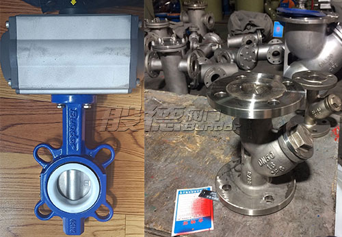 印尼客戶從般德采購蝶閥、止回閥、球閥等