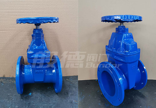 般德球墨鑄鐵閘閥、止回閥出口以色列