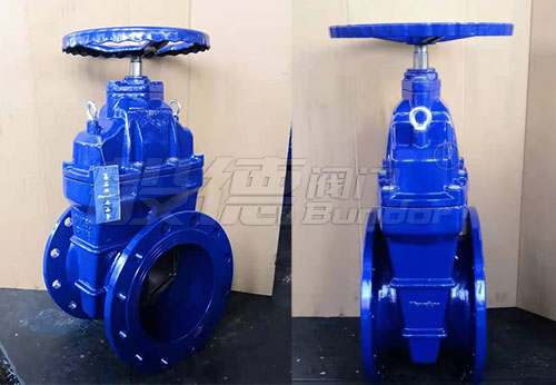 般德閘閥、過濾器、橡膠接頭等產(chǎn)品出口南非