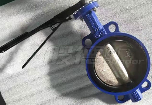 般德手柄蝶閥、軟密封閘閥等產(chǎn)品出口南非