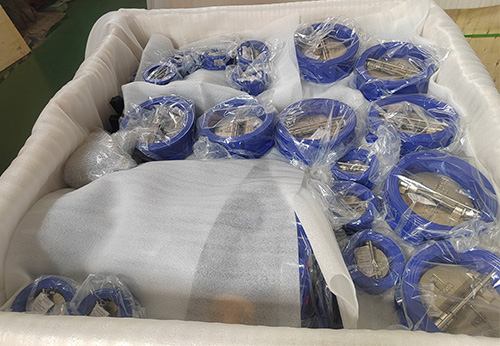 意大利某公司采購(gòu)般德般德閥門(mén)止回閥、蝶閥產(chǎn)品