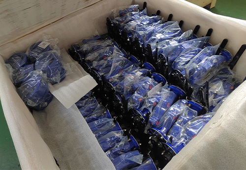 波蘭某商家采購(gòu)般德蝶閥和止回閥產(chǎn)品